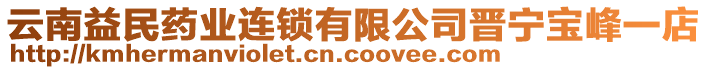 云南益民藥業(yè)連鎖有限公司晉寧寶峰一店