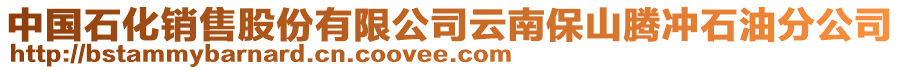 中國(guó)石化銷售股份有限公司云南保山騰沖石油分公司