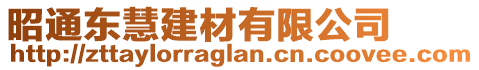 昭通東慧建材有限公司