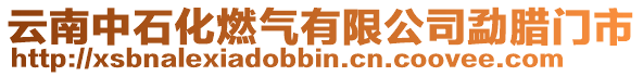 云南中石化燃?xì)庥邢薰聚屡D門市