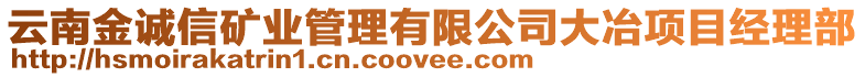 云南金誠信礦業(yè)管理有限公司大冶項目經(jīng)理部