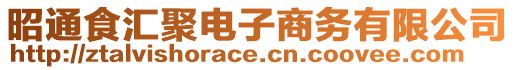 昭通食匯聚電子商務有限公司