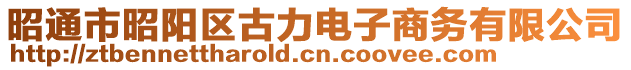 昭通市昭陽(yáng)區(qū)古力電子商務(wù)有限公司