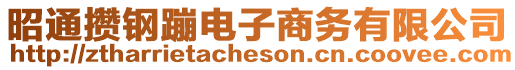 昭通攢鋼蹦電子商務(wù)有限公司