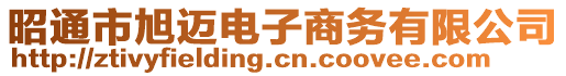 昭通市旭邁電子商務(wù)有限公司