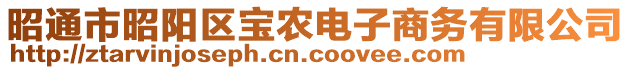 昭通市昭陽(yáng)區(qū)寶農(nóng)電子商務(wù)有限公司