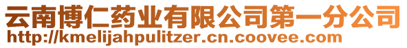 云南博仁藥業(yè)有限公司第一分公司