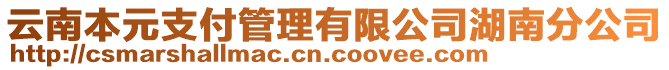 云南本元支付管理有限公司湖南分公司