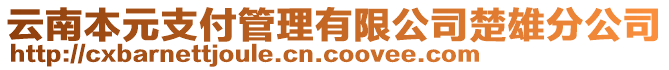 云南本元支付管理有限公司楚雄分公司