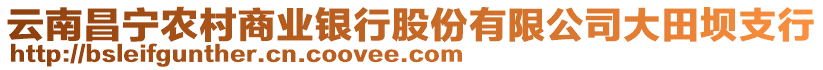 云南昌寧農(nóng)村商業(yè)銀行股份有限公司大田壩支行