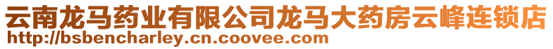 云南龍馬藥業(yè)有限公司龍馬大藥房云峰連鎖店