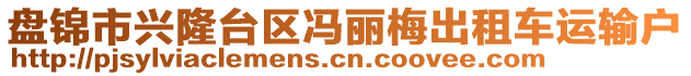 盤錦市興隆臺區(qū)馮麗梅出租車運輸戶