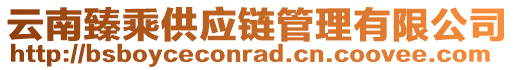 云南臻乘供應(yīng)鏈管理有限公司