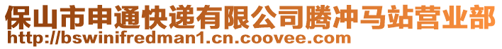 保山市申通快遞有限公司騰沖馬站營業(yè)部