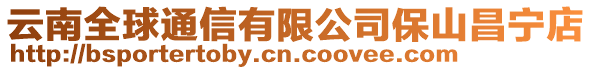 云南全球通信有限公司保山昌寧店