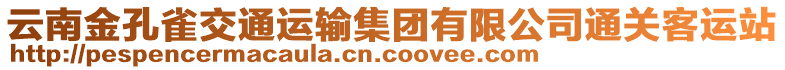 云南金孔雀交通運輸集團有限公司通關(guān)客運站