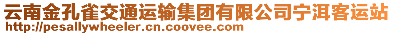 云南金孔雀交通運(yùn)輸集團(tuán)有限公司寧洱客運(yùn)站