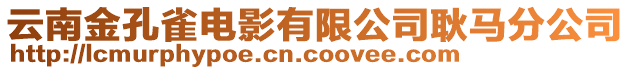 云南金孔雀電影有限公司耿馬分公司