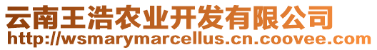 云南王浩農(nóng)業(yè)開發(fā)有限公司