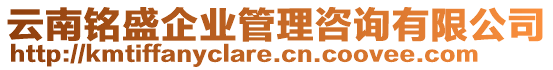 云南銘盛企業(yè)管理咨詢(xún)有限公司