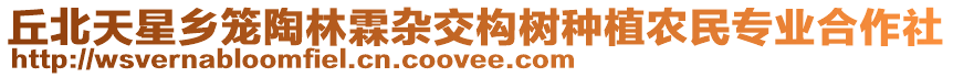 丘北天星鄉(xiāng)籠陶林霖雜交構(gòu)樹種植農(nóng)民專業(yè)合作社