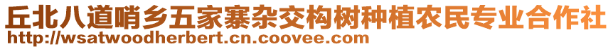 丘北八道哨鄉(xiāng)五家寨雜交構(gòu)樹種植農(nóng)民專業(yè)合作社