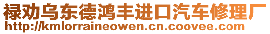 祿勸烏東德鴻豐進(jìn)口汽車修理廠