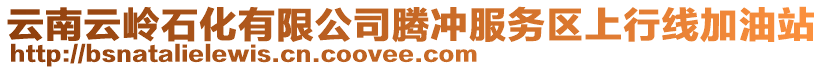 云南云嶺石化有限公司騰沖服務(wù)區(qū)上行線加油站