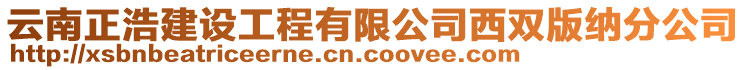 云南正浩建設(shè)工程有限公司西雙版納分公司