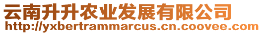 云南升升農(nóng)業(yè)發(fā)展有限公司