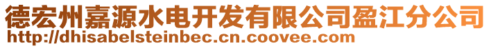 德宏州嘉源水電開發(fā)有限公司盈江分公司