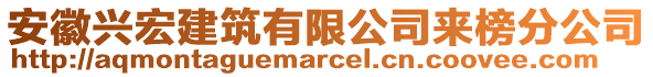 安徽興宏建筑有限公司來(lái)榜分公司