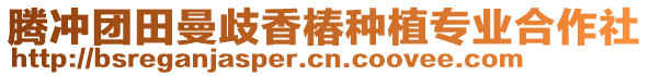 騰沖團(tuán)田曼歧香椿種植專業(yè)合作社