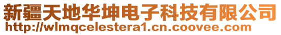 新疆天地華坤電子科技有限公司