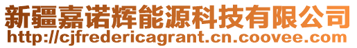 新疆嘉諾輝能源科技有限公司