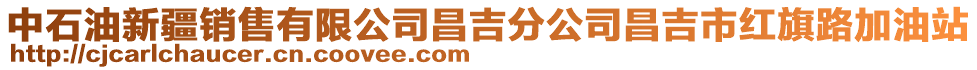 中石油新疆銷售有限公司昌吉分公司昌吉市紅旗路加油站