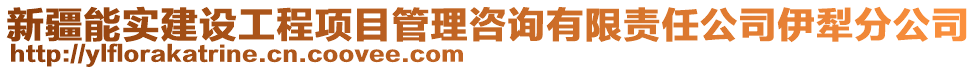 新疆能實(shí)建設(shè)工程項(xiàng)目管理咨詢有限責(zé)任公司伊犁分公司