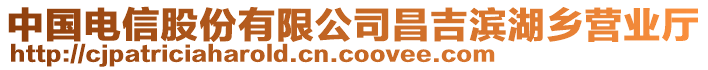 中國(guó)電信股份有限公司昌吉濱湖鄉(xiāng)營(yíng)業(yè)廳