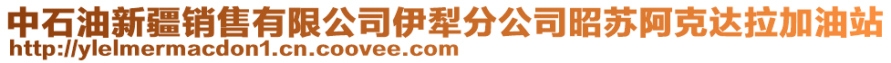 中石油新疆銷售有限公司伊犁分公司昭蘇阿克達拉加油站