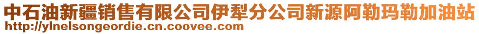 中石油新疆銷售有限公司伊犁分公司新源阿勒瑪勒加油站