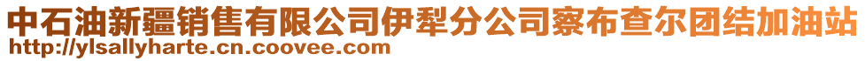 中石油新疆銷售有限公司伊犁分公司察布查爾團(tuán)結(jié)加油站