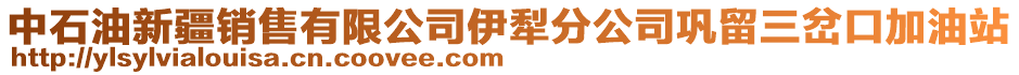 中石油新疆銷(xiāo)售有限公司伊犁分公司鞏留三岔口加油站