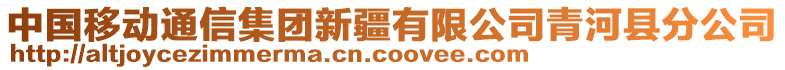 中國移動通信集團新疆有限公司青河縣分公司