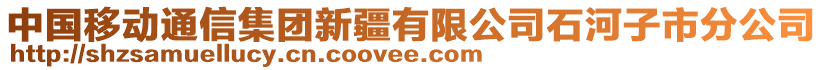 中國移動通信集團新疆有限公司石河子市分公司