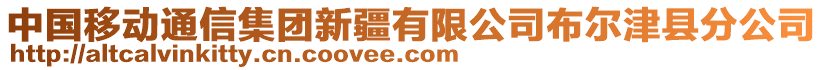 中國(guó)移動(dòng)通信集團(tuán)新疆有限公司布爾津縣分公司