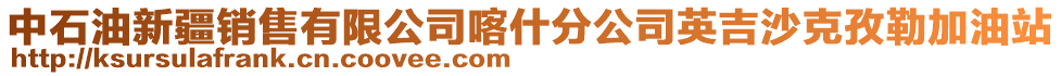 中石油新疆銷售有限公司喀什分公司英吉沙克孜勒加油站