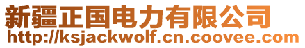 新疆正國電力有限公司