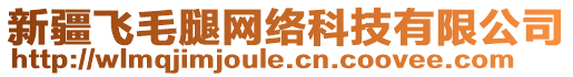 新疆飛毛腿網(wǎng)絡(luò)科技有限公司