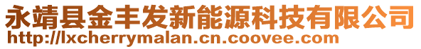 永靖县金丰发新能源科技有限公司