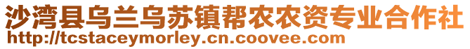 沙灣縣烏蘭烏蘇鎮(zhèn)幫農(nóng)農(nóng)資專業(yè)合作社